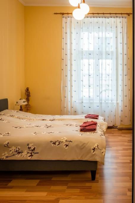Апартаменты Casa Max Тимишоара Экстерьер фото