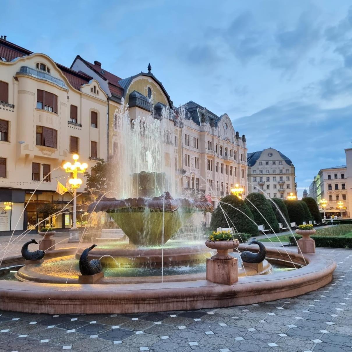 Апартаменты Casa Max Тимишоара Экстерьер фото
